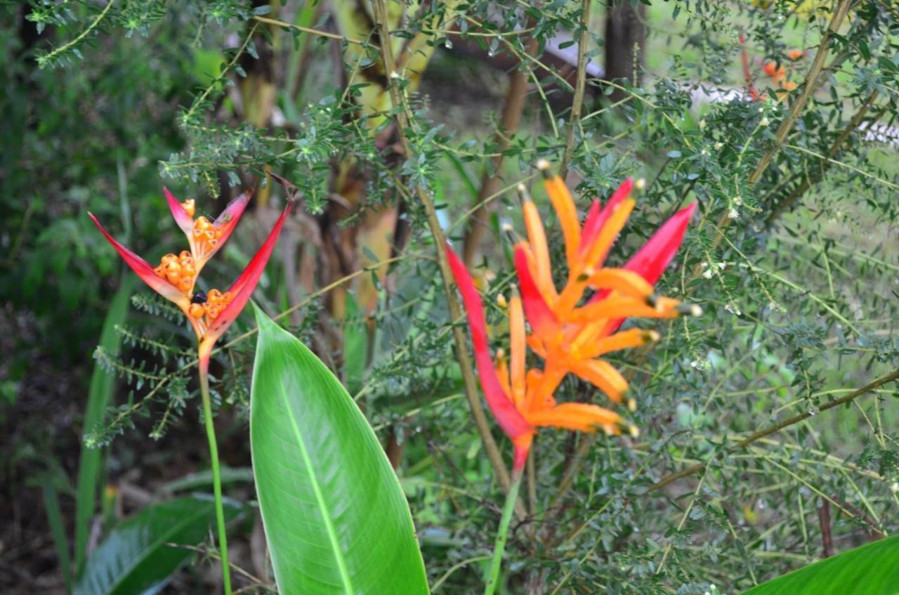 Chale Aconchegante, Pertinho Da Cidade E Conectada A Natureza Brazíliaváros Kültér fotó